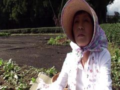 M615G11 A mature woman who runs a tea plantation in Shizuoka, decides to appear AV a few years ago! SEX in the tea plantation!